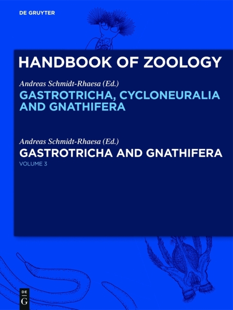 Gastrotricha and Gnathifera 