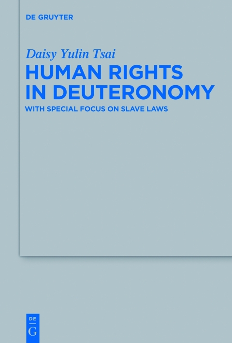 Cover image for book Human Rights in Deuteronomy