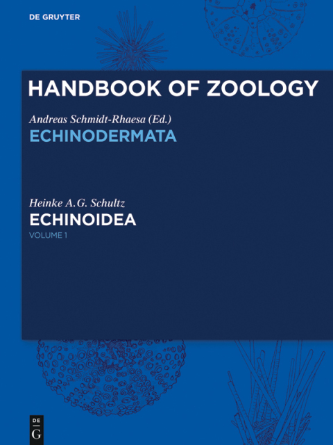 Cover image for book Echinoidea