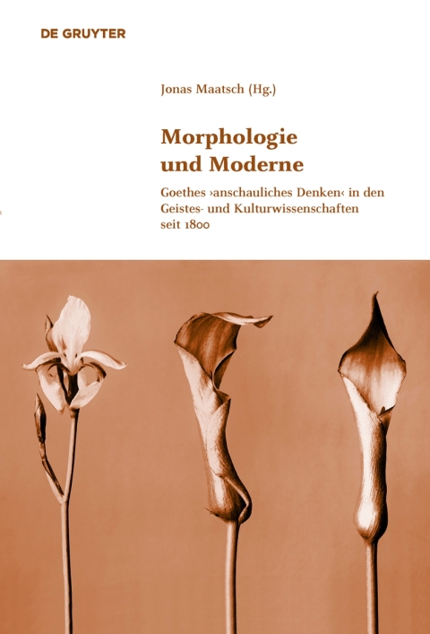 Cover image for book Morphologie und Moderne