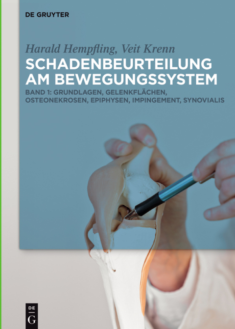 Cover image for book Grundlagen, Gelenkflächen, Osteonekrosen, Epiphysen, Impingement, Synovialis