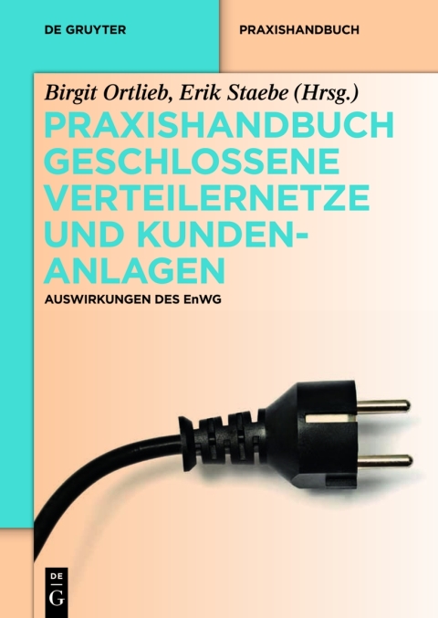 Cover image for book Praxishandbuch Geschlossene Verteilernetze und Kundenanlagen