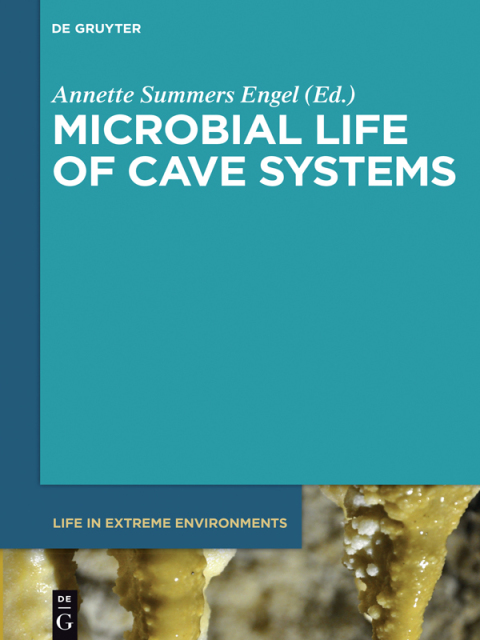 Cover image for book Microbial Life of Cave Systems