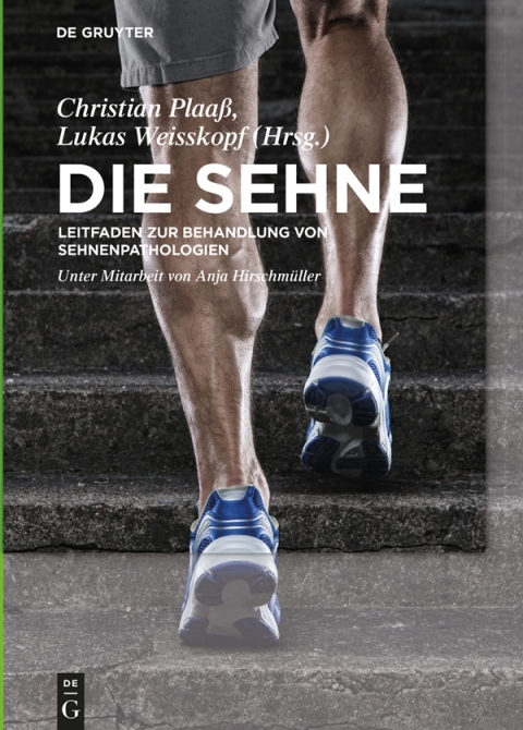 Cover image for book Die Sehne