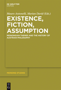 صورة الغلاف: Existence, Fiction, Assumption 1st edition 9783110451368