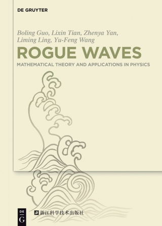 Rogue Waves