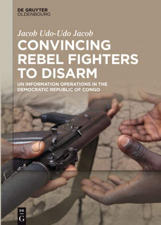 Convincing Rebel Fighters to Disarm