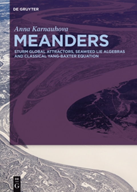 Cover image for book Meanders