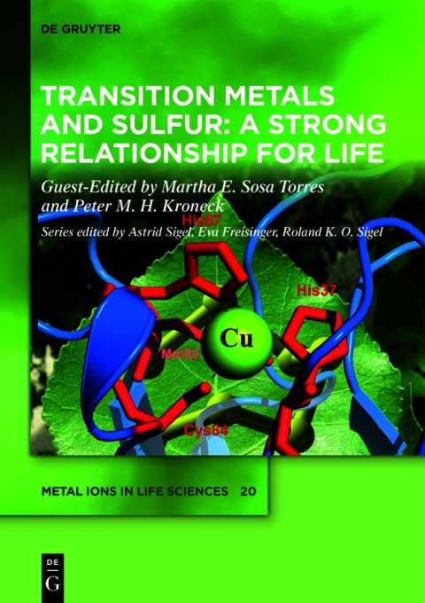 Transition Metals and Sulfur ? A Strong Relationship for Life 