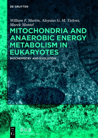 Mitochondria and Anaerobic Energy Metabolism in Eukaryotes