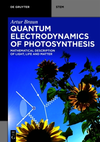 Quantum Electrodynamics of Photosynthesis