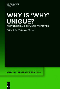 Omslagafbeelding: Why is ‘Why’ Unique? 1st edition 9783110675115