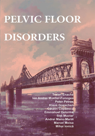 Pelvic floor disorders