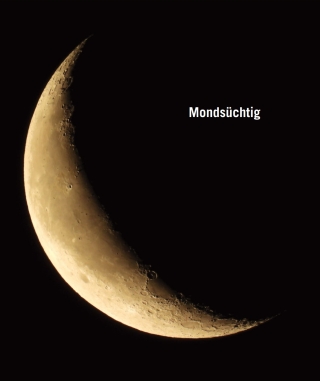Mondsüchtig