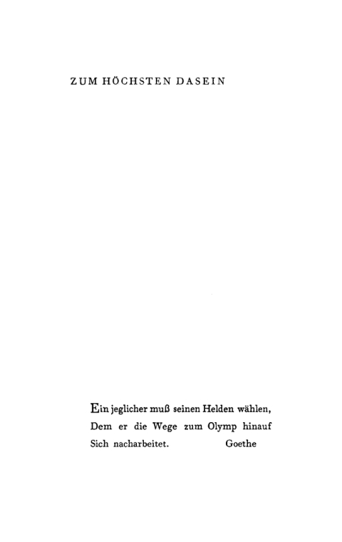 Cover image for book Zum höchsten Dasein