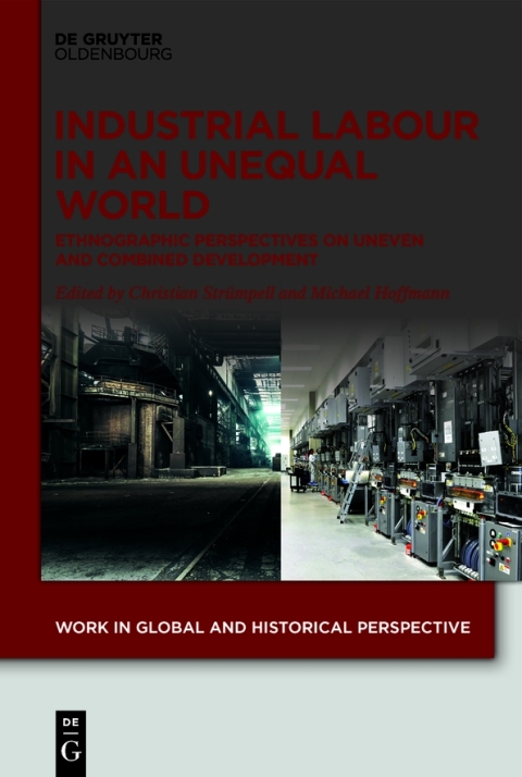 Industrial Labour in an Unequal World 