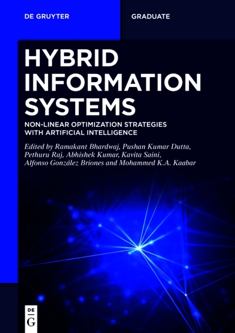 Hybrid Information Systems 