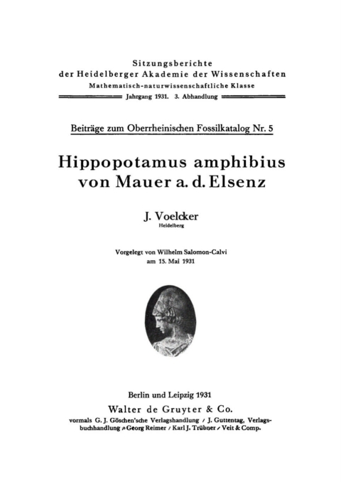 Cover image for book Hippopotamus amphibius von Mauer a.d. Elsenz