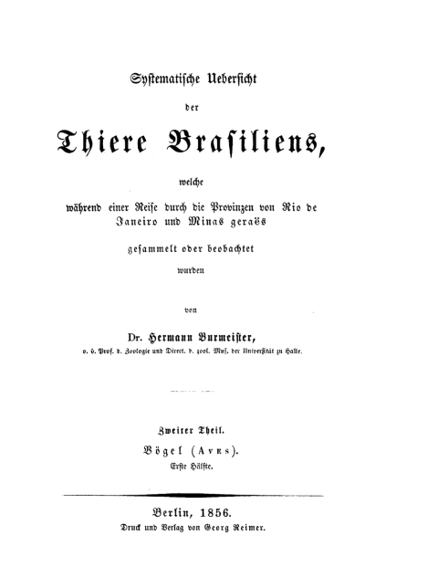 Cover image for book Vögel (Aves) I