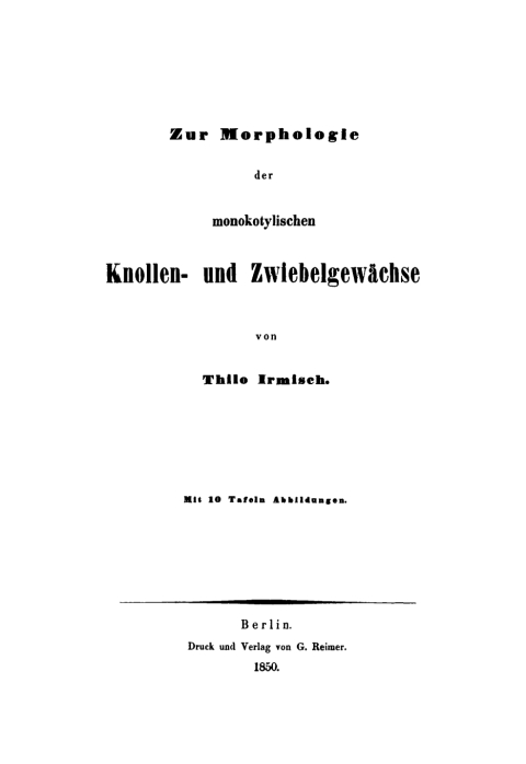 Cover image for book Zur Morphologie der monokotylischen Knollen- und Zwiebelgewächse