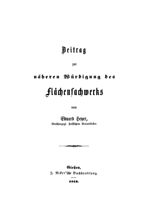 Cover image for book Beitrag zur näheren Würdigung des Flächenfachwerks