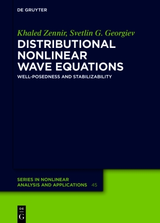 Distributional Nonlinear Wave Equations