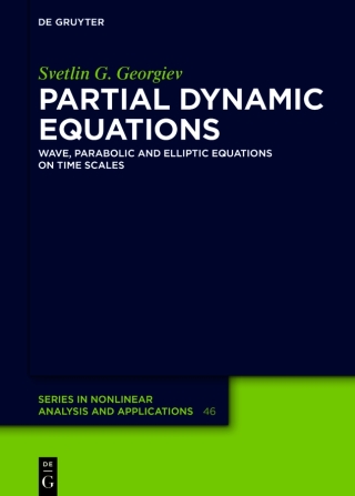 Partial Dynamic Equations