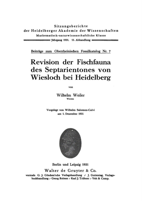 Cover image for book Revision der Fischfauna des Septarientones von Wiesloch bei Heidelberg