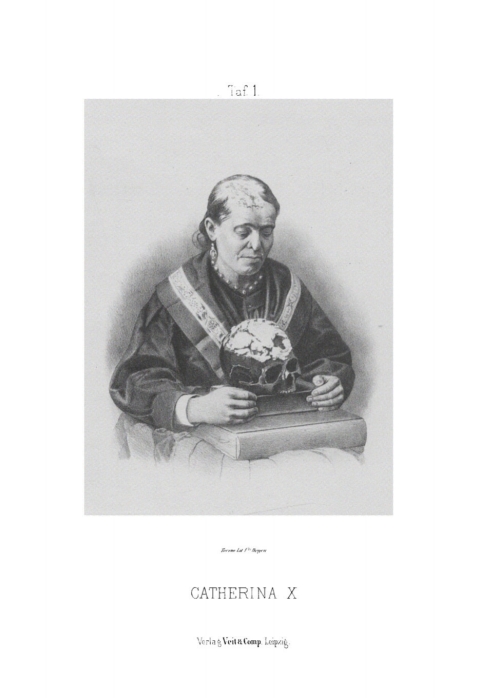 Cover image for book Ueber den Kreislauf des Blutes im menschlichen Gehirn