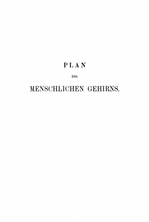 Cover image for book Plan des menschlichen Gehirns