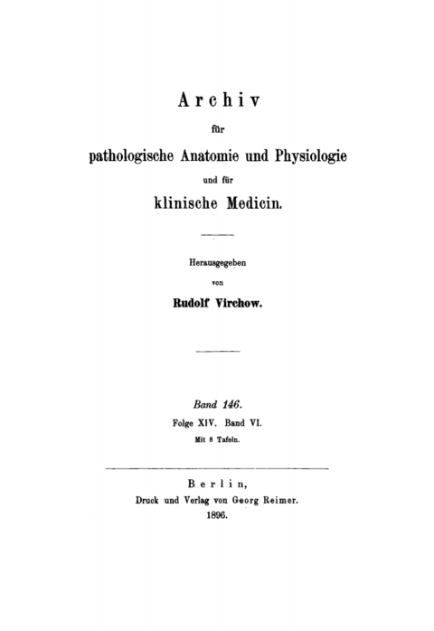 Cover image for book Rudolf Virchow: Archiv für pathologische Anatomie und Physiologie und für klinische Medicin. Band 146