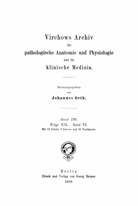 Cover image for book Rudolf Virchow: Archiv für pathologische Anatomie und Physiologie und für klinische Medicin. Band 196