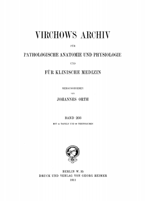 Cover image for book Rudolf Virchow: Archiv für pathologische Anatomie und Physiologie und für klinische Medicin. Band 203