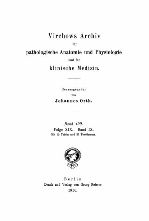 Cover image for book Rudolf Virchow: Archiv für pathologische Anatomie und Physiologie und für klinische Medicin. Band 199