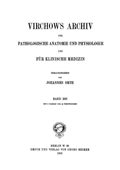 Cover image for book Rudolf Virchow: Archiv für pathologische Anatomie und Physiologie und für klinische Medicin. Band 208