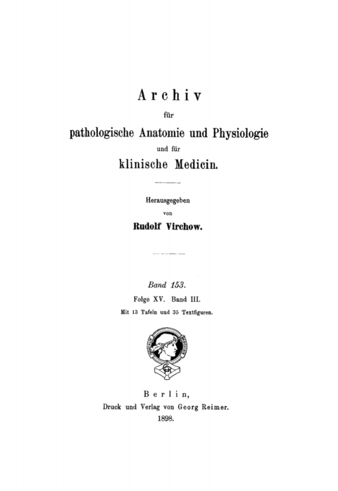 Cover image for book Rudolf Virchow: Archiv für pathologische Anatomie und Physiologie und für klinische Medicin. Band 153