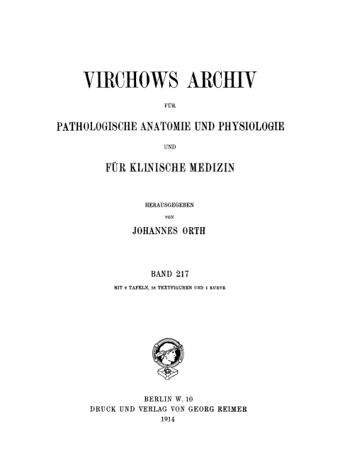 Cover image for book Rudolf Virchow: Archiv für pathologische Anatomie und Physiologie und für klinische Medicin. Band 217