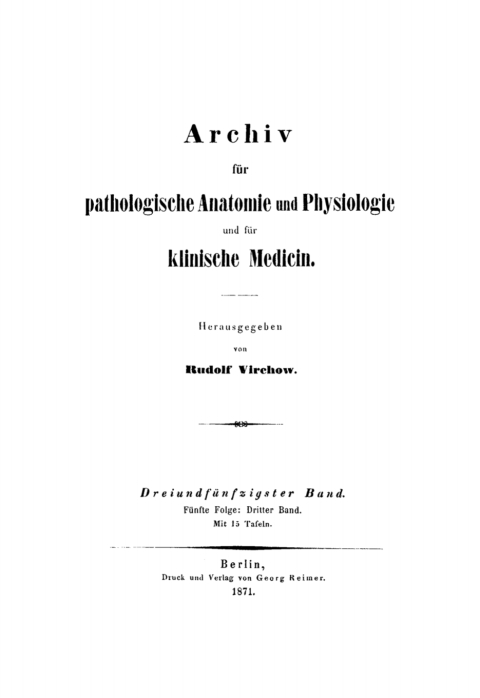 Cover image for book Rudolf Virchow: Archiv für pathologische Anatomie und Physiologie und für klinische Medicin. Band 53