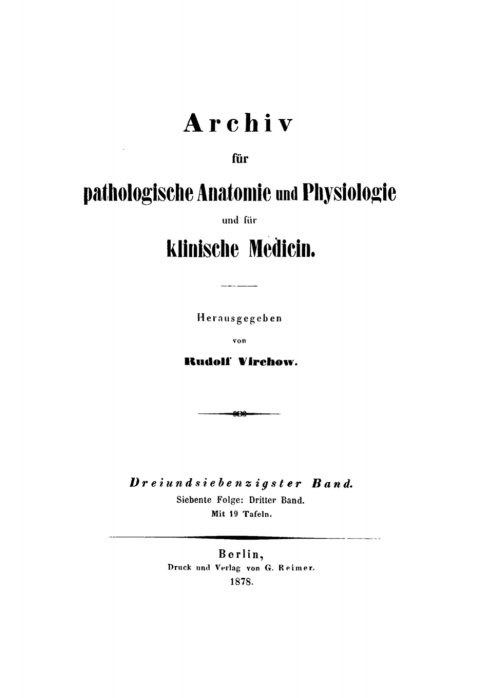 Cover image for book Rudolf Virchow: Archiv für pathologische Anatomie und Physiologie und für klinische Medicin. Band 73
