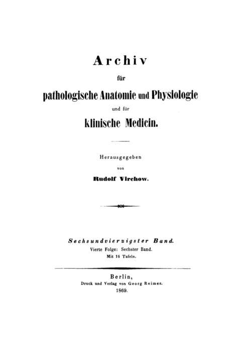 Cover image for book Rudolf Virchow: Archiv für pathologische Anatomie und Physiologie und für klinische Medicin. Band 46