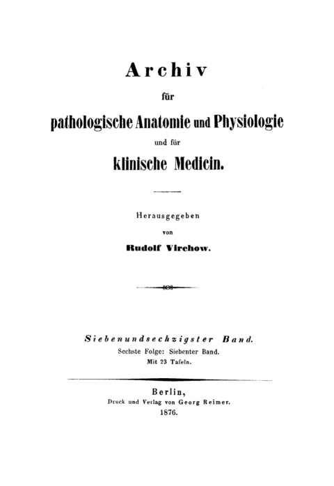 Cover image for book Rudolf Virchow: Archiv für pathologische Anatomie und Physiologie und für klinische Medicin. Band 67