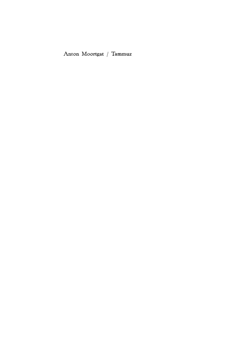 Cover image for book Tammuz