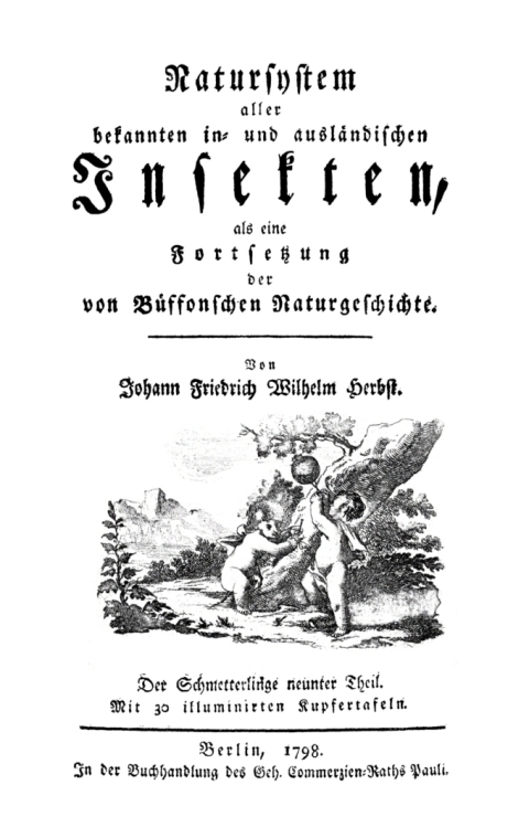 Cover image for book Der Schmetterlinge, Teil 9