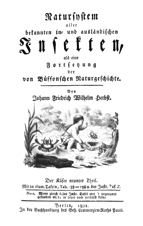 Cover image for book Der Käfer, Teil 9