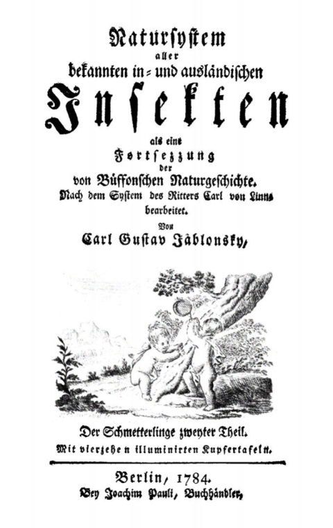 Cover image for book Der Schmetterlinge, Teil 2