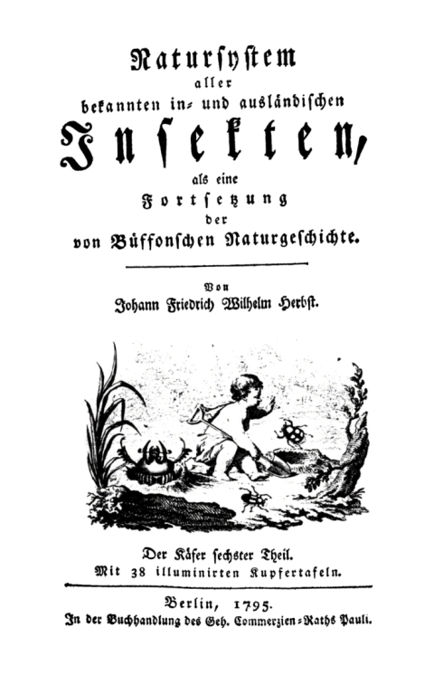 Cover image for book Der Käfer, Teil 6