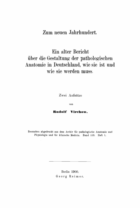 Cover image for book Zum neuen Jahrhundert