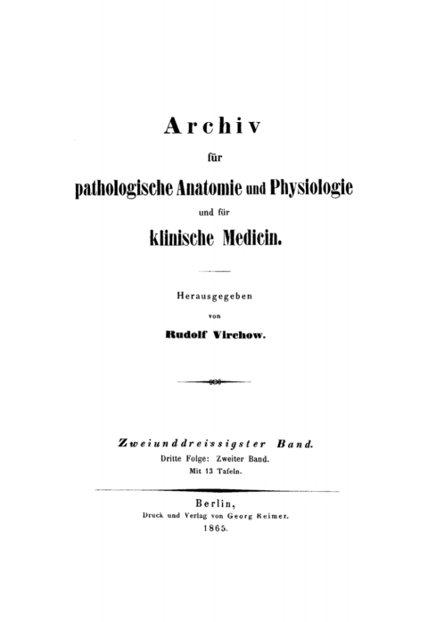 Cover image for book Rudolf Virchow: Archiv für pathologische Anatomie und Physiologie und für klinische Medicin. Band 32