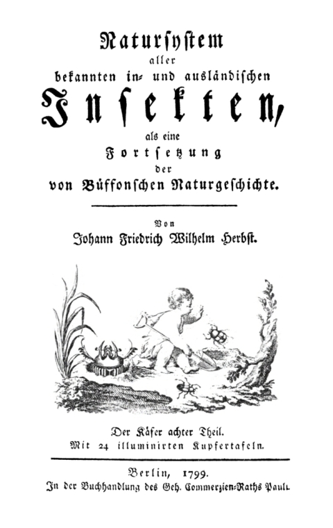Cover image for book Der Käfer, Teil 8