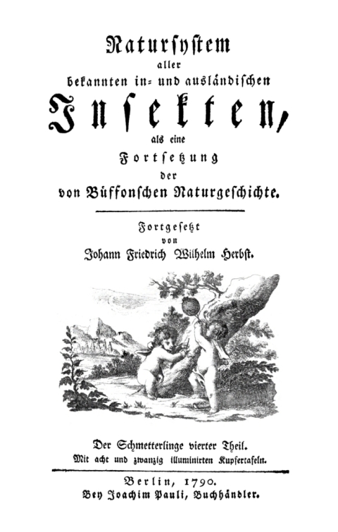 Cover image for book Der Schmetterlinge, Teil 4